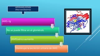 AMS+lg
No se puede filtrar en el glomérulo
(AMS)sérica aumenta
Disminuye la excreción urinaria de AMS
HIPERAMILASEMIA
(Macroamilasemia)
 
