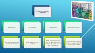 Ensayo para actividad
enzimática
Amiloclastina
Mide la desaparición del
sustrato de almidón
Sacarogenico
Mide la aparición del
producto
Cromogénico
Mide el incremento del
color de la producción de
un producto unido con un
tinte cromogenico
Monitoreo continuo
Unión de varios sistemas
de enzimas para vigilar la
activad de la amilasa
 
