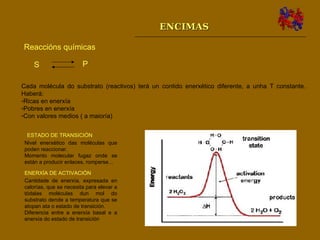 ENCIMAS Reaccións químicas S P ,[object Object],[object Object],[object Object],[object Object],ESTADO DE TRANSICIÓN Nivel enerxético das moléculas que poden reaccionar. Momento molecular fugaz onde se están a producir enlaces, romperse… ENERXÍA DE ACTIVACIÓN Cantidade de enerxía, expresada en calorías, que se necesita para elevar a tódalas moléculas dun mol do substrato dende a temperatura que se atopan ata o estado de transición.  Diferencia entre a enerxía basal e a enerxía do estado de transición 