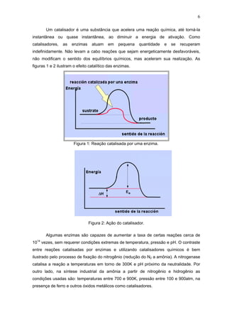 6
Um catalisador é uma substância que acelera uma reação química, até torná-la
instantânea ou quase instantânea, ao diminuir a energia de ativação. Como
catalisadores, as enzimas atuam em pequena quantidade e se recuperam
indefinidamente. Não levam a cabo reações que sejam energeticamente desfavoráveis,
não modificam o sentido dos equilíbrios químicos, mas aceleram sua realização. As
figuras 1 e 2 ilustram o efeito catalítico das enzimas.
Figura 1: Reação catalisada por uma enzima.
Figura 2: Ação do catalisador.
Algumas enzimas são capazes de aumentar a taxa de certas reações cerca de
1014
vezes, sem requerer condições extremas de temperatura, pressão e pH. O contraste
entre reações catalisadas por enzimas e utilizando catalisadores químicos é bem
ilustrado pelo processo de fixação do nitrogênio (redução do N2 a amônia). A nitrogenase
catalisa a reação a temperaturas em torno de 300K e pH próximo da neutralidade. Por
outro lado, na síntese industrial da amônia a partir de nitrogênio e hidrogênio as
condições usadas são: temperaturas entre 700 e 900K, pressão entre 100 e 900atm, na
presença de ferro e outros óxidos metálicos como catalisadores.
 