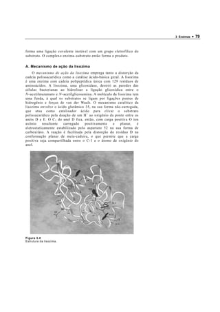 3 Enzimas   • 79


forma uma ligação covalente instável com um grupo eletrofílico do
substrato. O complexo enzima−substrato então forma o produto.

A. Mecanismo de ação da lisozima
    O mecanismo de ação da lisozima emprega tanto a distorção da
cadeia polissacarídica como a catálise ácido-básica geral. A lisozima
é uma enzima com cadeia polipeptídica única com 129 resíduos de
aminoácidos. A lisozima, uma glicosidase, destrói as paredes das
células bacterianas ao hidrolisar a ligação glicosídica entre o
N −acetilmuramato e N −acetilglicosamina. A molécula da lisozima tem
uma fenda, à qual os substratos se ligam por ligações pontes de
hidrogênio e forças de van der Waals. O mecanismo catalítico da
lisozima envolve o ácido glutâmico 35, na sua forma não-carregada,
que atua como catalisador ácido para clivar o substrato
polissacarídico pela doação de um H + ao oxigênio da ponte entre os
anéis D e E. O C 1 do anel D fica, então, com carga positiva O íon
axônio     resultante  carregado    positivamente    e    planar,   é
eletrostaticamente estabilizado pelo aspartato 52 na sua forma de
carboxilato. A reação é facilitada pela distorção do resíduo D na
conformação planar de meia-cadeira, o que permite que a carga
positiva seja compartilhada entre o C-1 e o átomo de oxigênio do
anel.




Figura 3.4
Estrutura da lisozima.
 