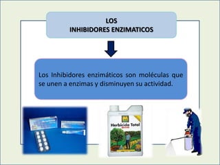 LOS
INHIBIDORES ENZIMATICOS

Los Inhibidores enzimáticos son moléculas que
se unen a enzimas y disminuyen su actividad.

 
