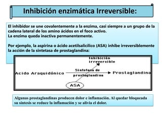 Inhibición enzimática Irreversible:
El inhibidor se une covalentemente a la enzima, casi siempre a un grupo de la
cadena lateral de los amino ácidos en el foco activo.
La enzima queda inactiva permanentemente.
Por ejemplo, la aspirina o ácido acetilsalicílico (ASA) inhibe irreversiblemente
la acción de la sintetasa de prostaglandina:

Algunas prostaglandinas producen dolor e inflamación. Al quedar bloqueada
su síntesis se reduce la inflamación y se alivia el dolor.

 