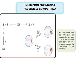 INHIBICION ENZIMATICA
REVERSIBLE COMPETITIVA

Por ello este tipo
de inhibición se
caracteriza en que
puede disminuirse
considerablement
e aumentando la
concentración de
sustrato.

 