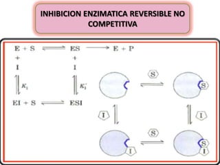INHIBICION ENZIMATICA REVERSIBLE NO
COMPETITIVA

 