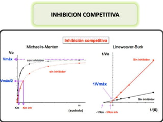 INHIBICION COMPETITIVA

 