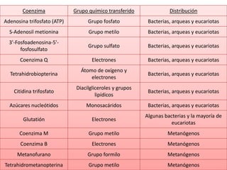 Coenzima

Grupo químico transferido

Distribución

Adenosina trifosfato (ATP)

Grupo fosfato

Bacterias, arqueas y eucariotas

S-Adenosil metionina

Grupo metilo

Bacterias, arqueas y eucariotas

3'-Fosfoadenosina-5'fosfosulfato

Grupo sulfato

Bacterias, arqueas y eucariotas

Coenzima Q

Electrones

Bacterias, arqueas y eucariotas

Tetrahidrobiopterina

Átomo de oxígeno y
electrones

Bacterias, arqueas y eucariotas

Citidina trifosfato

Diacilgliceroles y grupos
lipídicos

Bacterias, arqueas y eucariotas

Azúcares nucleótidos

Monosacáridos

Bacterias, arqueas y eucariotas

Glutatión

Electrones

Algunas bacterias y la mayoría de
eucariotas

Coenzima M

Grupo metilo

Metanógenos

Coenzima B

Electrones

Metanógenos

Metanofurano

Grupo formilo

Metanógenos

Tetrahidrometanopterina

Grupo metilo

Metanógenos

 