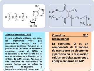 Adenosina trifosfato (ATP)
Es una molécula utilizada por todos
los
organismos
vivos
para
proporcionar
energía
en
las
reacciones químicas. También es el
precursor de una serie de coenzimas
esenciales como el NAD+ o
la coenzima A. El ATP es uno de los
cuatro monómeros utilizados en la
síntesis de ARN celular. Además, es
una coenzima de transferencia de
grupos fosfato que se enlaza de
manera
no-covalente
a
las enzimas quinasas (co-sustrato)

Coenzima
(ubiquinona)

Q10

La coenzima Q es un
componente de la cadena
de transporte de electrones
y participa en la respiración
celular aeróbica, generando
energía en forma de ATP.

 