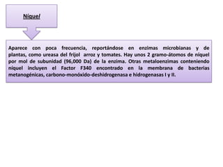 Níquel

Aparece con poca frecuencia, reportándose en enzimas microbianas y de
plantas, como ureasa del frijol arroz y tomates. Hay unos 2 gramo-átomos de níquel
por mol de subunidad (96,000 Da) de la enzima. Otras metaloenzimas conteniendo
níquel incluyen el Factor F340 encontrado en la membrana de bacterias
metanogénicas, carbono-monóxido-deshidrogenasa e hidrogenasas I y II.

 