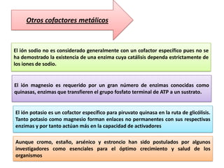 Otros cofactores metálicos

El ión sodio no es considerado generalmente con un cofactor específico pues no se
ha demostrado la existencia de una enzima cuya catálisis dependa estrictamente de
los iones de sodio.

El ión magnesio es requerido por un gran número de enzimas conocidas como
quinasas, enzimas que transfieren el grupo fosfato terminal de ATP a un sustrato.

El ión potasio es un cofactor específico para piruvato quinasa en la ruta de glicólisis.
Tanto potasio como magnesio forman enlaces no permanentes con sus respectivas
enzimas y por tanto actúan más en la capacidad de activadores
Aunque cromo, estaño, arsénico y estroncio han sido postulados por algunos
investigadores como esenciales para el óptimo crecimiento y salud de los
organismos

 
