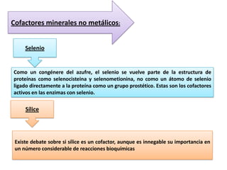 Cofactores minerales no metálicos:
Selenio

Como un congénere del azufre, el selenio se vuelve parte de la estructura de
proteínas como selenocisteina y selenometionina, no como un átomo de selenio
ligado directamente a la proteína como un grupo prostético. Estas son los cofactores
activos en las enzimas con selenio.

Sílice

Existe debate sobre si sílice es un cofactor, aunque es innegable su importancia en
un número considerable de reacciones bioquímicas

 