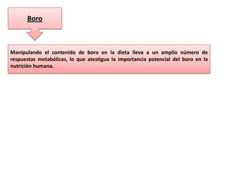 Boro

Manipulando el contenido de boro en la dieta lleva a un amplio número de
respuestas metabólicas, lo que atestigua la importancia potencial del boro en la
nutrición humana.

 