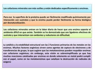 Los cofactores minerales son más sutiles y están dedicados específicamente a enzimas.

Para eso la superficie de la proteína puede ser fácilmente modificada químicamente por
interacción con sustratos y que la enzima puede perder fácilmente su forma biológica
por desnaturalización.
Los cofactores minerales entran en la labor diaria de hacer que una enzima soporte el
ambiente difícil en que existe. También se ha demostrado que son ligadores efectivos de
sustrato y que interactúan con oxidantes y reductores sin dificultad.

La catálisis y la estabilidad estructural son las 2 funciones primarias de los metales en las
enzimas. Muchos factores orgánicos sirven como agentes de captura de electrones y de
transferencias de grupo, lo que sugiere que las metaloenzimas pueden respaldar enzimas
con cofactores orgánicos; sin embargo, esta visión es sobresimplificada ya que hay
muchas reacciones catalizadas por enzimas en donde solamente un metal podrá cumplir
con el papel, como en las metaloenzimas que catalizan la destrucción de radicales de
oxígeno

 