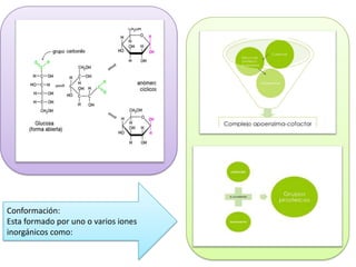 Conformación:
Esta formado por uno o varios iones
inorgánicos como:

 