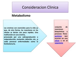 Consideracion Clinica
Metabolismo

Las enzimas son esenciales para la vida ya
que, de otra forma, las reacciones en las
células se darían con poca rapidez. Una
malfunción en una enzima,
provocada por una sobreproducción o
subproducción, mutación, deleción, etc., p
uede provocar enfermedades como la
fenilcetonuria.

conjunto
de
reacciones
bioquímicas y
procesos físicoquímicos que
ocurren en una
célula y en el
organismo

 