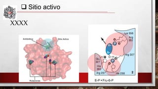  Sitio activo
XXXX

 