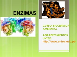 CURSO: BIOQUÍMICA
AMBIENTAL
AGRADECIMIENTOS:
UNTELS
http://www.untels.edu.pe
ENZIMAS
 
