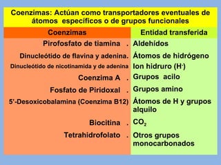 Coenzimas: Actúan como transportadores eventuales de
átomos específicos o de grupos funcionales
Coenzimas Entidad transferida
Pirofosfato de tiamina .
Dinucleótido de flavina y adenina.
Dinucleótido de nicotinamida y de adenina
Coenzima A .
Fosfato de Piridoxal .
5’-Desoxicobalamina (Coenzima B12)
Biocitina .
Tetrahidrofolato .
Aldehídos
Átomos de hidrógeno
Ion hidruro (H-
)
Grupos acilo
Grupos amino
Átomos de H y grupos
alquilo
CO2
Otros grupos
monocarbonados
 