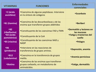 VITAMINAS FUNCIONES
Enfermedades
carenciales
•C (ácido
ascórbico)
•Coenzima de algunas peptidasas. Interviene
en la síntesis de colágeno
•Escorbuto
•B1 (tiamina)
•Coenzima de las descarboxilasas y de las
enzima que transfieren grupos aldehídos
•Beriberi
•B2
(riboflavina)
•Constituyente de los coenzimas FAD y FMN
•Dermatitis y lesiones en
las mucosas
•B3 (ácido
pantoténico)
•Constituyente de la CoA
•Fatiga y trastornos del
sueño
•B5 (niacina)
•Constituyente de las coenzimas NAD y
NADP
•Pelagra
•B6
(piridoxina)
•Interviene en las reacciones de
transferencia de grupos aminos.
•Depresión, anemia
•B12
(cobalamina)
•Coenzima en la transferencia de grupos
metilo.
•Anemia perniciosa
•Biotina
•Coenzima de las enzimas que transfieren
grupos carboxilo, en metabolismo de
aminoácidos.
•Fatiga, dermatitis
 