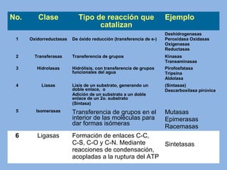 No. Clase Tipo de reacción que
catalizan
Ejemplo
1 Oxidorreductasas De óxido reducción (transferencia de e-)
Deshidrogenasas
Peroxidasa Oxidasas
Oxigenasas
Reductasas
2 Transferasas Transferencia de grupos Kinasas
Transaminasas
3 Hidrolasas Hidrólisis, con transferencia de grupos
funcionales del agua
Pirofosfatasa
Tripsina
Aldolasa
4 Liasas Lisis de un substrato, generando un
doble enlace, o
Adición de un substrato a un doble
enlace de un 2o. substrato
(Sintasa)
(Sintasas)
Descarboxilasa pirúvica
5 Isomerasas Transferencia de grupos en el
interior de las moléculas para
dar formas isómeras
Mutasas
Epimerasas
Racemasas
6 Ligasas Formación de enlaces C-C,
C-S, C-O y C-N. Mediante
reacciones de condensación,
acopladas a la ruptura del ATP
Sintetasas
 