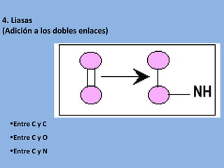 4. Liasas
(Adición a los dobles enlaces)
•Entre C y C
•Entre C y O
•Entre C y N
 