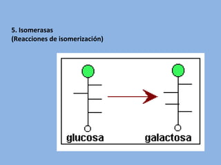 5. Isomerasas
(Reacciones de isomerización)
 