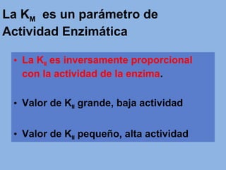 La KM es un parámetro de
Actividad Enzimática
• La KM es inversamente proporcional
con la actividad de la enzima.
• Valor de KM grande, baja actividad
• Valor de KM pequeño, alta actividad
 
