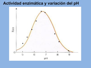 Actividad enzimática y variación del pH
 