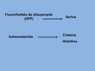 Fluorofosfato de diisopropilo
(DFP)
Serina
Iodoacetamida Cisteína
Histidina
 