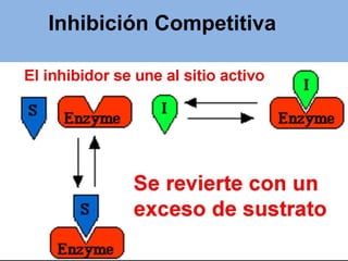 Inhibición Competitiva
 