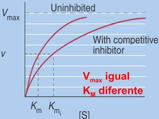 Vmax igual
KM diferente
 