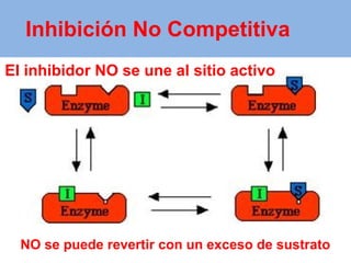 El inhibidor NO se une al sitio activo
Inhibición No Competitiva
NO se puede revertir con un exceso de sustrato
 