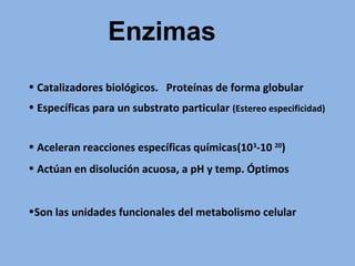 • Catalizadores biológicos. Proteínas de forma globular
• Específicas para un substrato particular (Estereo especificidad)
• Aceleran reacciones específicas químicas(103
-10 20
)
• Actúan en disolución acuosa, a pH y temp. Óptimos
•Son las unidades funcionales del metabolismo celular
Enzimas
 
