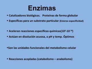 • Catalizadores biológicos. Proteínas de forma globular
• Específicas para un substrato particular (Estereo especificidad)
• Aceleran reacciones específicas químicas(103
-10 20
)
• Actúan en disolución acuosa, a pH y temp. Óptimos
•Son las unidades funcionales del metabolismo celular
• Reacciones acopladas (catabolismo – anabolismo)
Enzimas
 