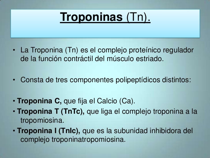 Enzimas cardiacas