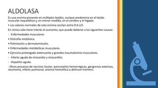 ENZIMAS CARDIACAS Y MUSCULARES normal y patologico | PPTX