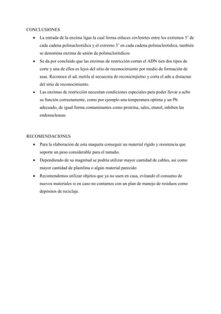 CONCLUSIONES
 La entrada de la enzima ligas la cual forma enlaces covlenrtes entre los extremos 5’ de
cada cadena polinucleotidica y el extremo 3’ en cada cadena polinucleotidica, también
se denomina enzima de unión de polinucloetidicos
 Se da por concluido que las enzimas de restricción cortan el ADN tien dos tipos de
corte y una de ellos es lejos del sitio de reconocimiento por medio de formación de
asas. Reconoce el ad, metila al secuecnia de reconicmjietno y corta el adn a distacnai
del sitio de reconocimiento.
 Las enzimas de restricción necesitan condiciones especiales para poder llevar a acbo
su función correctamente, como por ejemplo una temperatura optima y un Ph
adecuado, de igual forma contaminantes como proteína, sales, etanol, inhiben las
endonucleasas.
RECOMENDACIONES
 Para la elaboración de esta maqueta conseguir un material rígido y resistencia que
soporte un peso considerable para el tamaño.
 Dependiendo de su magnitud se podría utilizar mayor cantidad de cables, así como
mayor cantidad de plastilina o algún material parecido
 Recomendemos utilizar objetos que ya no usen en casa, evitando el consumo de
nuevos materiales si en caso no contamos con un plan de manejo de residuos como
depósitos de reciclaje.
 