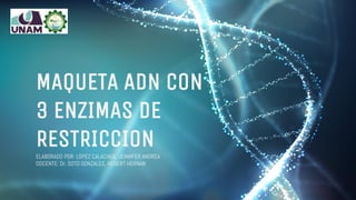 ELABORADO POR: LOPEZ CALACHUA, JENNIFER ANDREA
DOCENTE: Dr. SOTO GONZALES, HEBERT HERNAN
MAQUETA ADN CON
3 ENZIMAS DE
RESTRICCION
 