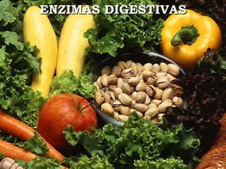 ENZIMAS DIGESTIVAS 