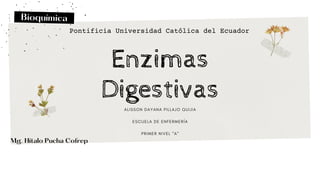 Bioquímica
Pontificia Universidad Católica del Ecuador
Enzimas
Digestivas
A L I S S O N D A Y A N A P I L L A J O Q U I J I A


E S C U E L A D E E N F E R M E R Í A


P R I M E R N I V E L " A "
Mg. Hítalo Pucha Cofrep
 