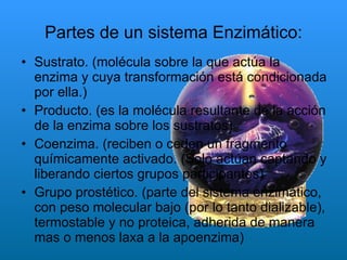 Partes de un sistema Enzimático: Sustrato. (molécula sobre la que actúa la enzima y cuya transformación está condicionada por ella.) Producto. (es la molécula resultante de la acción de la enzima sobre los sustratos) Coenzima. (reciben o ceden un fragmento químicamente activado. (Solo actúan captando y liberando ciertos grupos participantes) Grupo prostético. (parte del sistema enzimático, con peso molecular bajo (por lo tanto dializable), termostable y no proteica, adherida de manera mas o menos laxa a la apoenzima) 