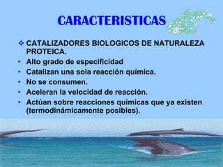 CARACTERISTICAS CATALIZADORES BIOLOGICOS DE NATURALEZA PROTEICA. Alto grado de especificidad Catalizan una sola reacción química. No se consumen. Aceleran la velocidad de reacción. Actúan sobre reacciones químicas que ya existen (termodinámicamente posibles). 