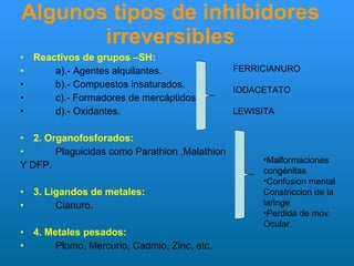 Algunos tipos de inhibidores irreversibles Reactivos de grupos –SH: a).- Agentes alquilantes. b).- Compuestos insaturados. c).- Formadores de mercáptidos. d).- Oxidantes. 2. Organofosforados: Plaguicidas como Parathion ,Malathion  Y DFP. 3. Ligandos de metales: Cianuro. 4. Metales pesados: Plomo, Mercurio, Cadmio, Zinc, etc. FERRICIANURO IODACETATO LEWISITA Malformaciones congénitas Confusion mental Constriccion de la laringe Perdida de mov. Ocular. 