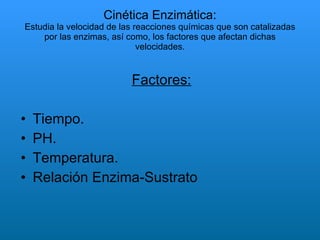 Cinética Enzimática: Estudia la velocidad de las reacciones químicas que son catalizadas por las enzimas, así como, los factores que afectan dichas velocidades. Factores: Tiempo.  PH. Temperatura. Relación Enzima-Sustrato 