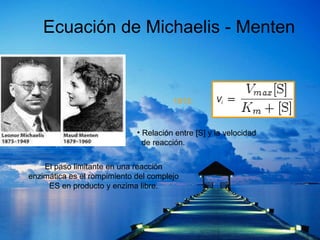 1913: Relación entre  [ S ] y la velocidad  de reacción. El paso limitante en una reacción enzimática es el rompimiento del complejo ES en producto y enzima libre. Ecuación de Michaelis - Menten V i 