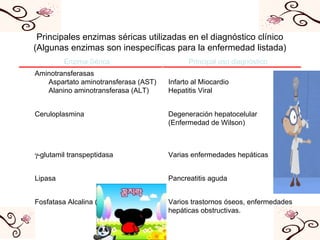 Varios trastornos óseos, enfermedades hepáticas obstructivas. Fosfatasa Alcalina (Isoenzimas) Carcinoma metastático de la próstata Fosfatasa Ácida Pancreatitis aguda Lipasa Infarto al miocardio Lactato deshidrogenasa (Isoenzimas) Varias enfermedades hepáticas  -glutamil transpeptidasa Trastornos musculares Infarto al miocardio Creatincinasa Degeneración hepatocelular (Enfermedad de Wilson) Ceruloplasmina Pancreatitis aguda Amilasa  Infarto al Miocardio Hepatitis Viral Aminotransferasas Aspartato aminotransferasa (AST) Alanino aminotransferasa (ALT) Principal uso diagnóstico Enzima Sérica Principales enzimas séricas utilizadas en el diagnóstico clínico (Algunas enzimas son inespecíficas para la enfermedad listada) 