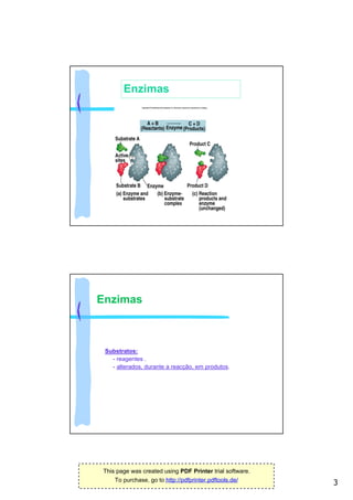 Enzimas




Enzimas



 Substratos:
   - reagentes .
   - alterados, durante a reacção, em produtos.




This page was created using PDF Printer trial software.
    To purchase, go to http://pdfprinter.pdftools.de/
                                                          3
 