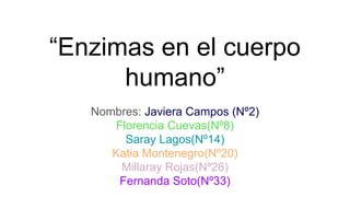 “Enzimas en el cuerpo
humano”
Nombres: Javiera Campos (Nº2)
Florencia Cuevas(Nº8)
Saray Lagos(Nº14)
Katia Montenegro(Nº20)
Millaray Rojas(Nº26)
Fernanda Soto(Nº33)
 