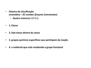 • Sistema de classificação
enzimático – EC number (Enzyme Commission)
– Quatro números: 2.7.1.1
• 1. Classe
• 2. Sub-classe dentro da classe
• 3. grupos químicos específicos que participam da reação.
• 4. a molécula que está recebendo o grupo funcional
 