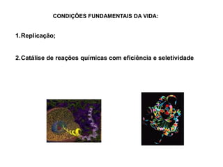 1.Replicação;
2.Catálise de reações químicas com eficiência e seletividade
CONDIÇÕES FUNDAMENTAIS DA VIDA:
 